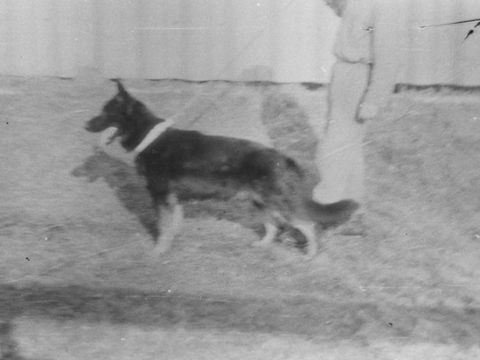 Foto 12